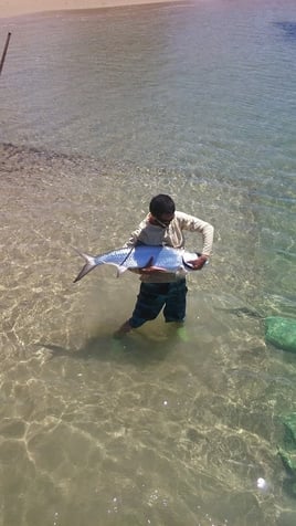 Tarpon Fishing in Dorado, Puerto Rico