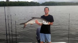 Tarpon Fishing in Dorado, Puerto Rico