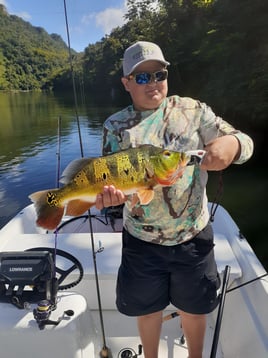 Peacock Bass Fishing in Vega Baja, Puerto Rico