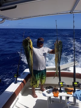 Mahi Mahi Fishing in Dorado, Puerto Rico