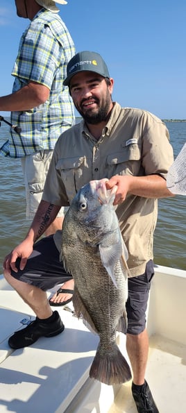 Black Drum Fishing in Yscloskey, Louisiana