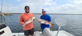 Redfish Fishing in Yscloskey, Louisiana