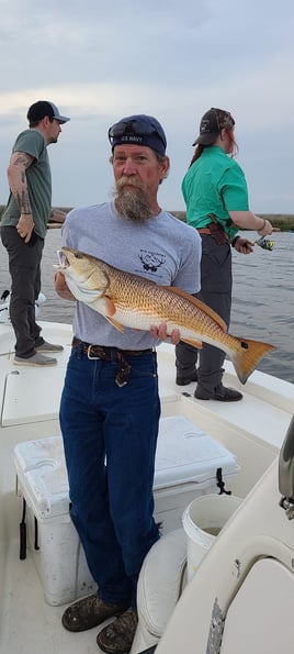 Redfish Fishing in Yscloskey, Louisiana