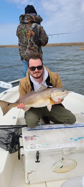 Redfish Fishing in Yscloskey, Louisiana