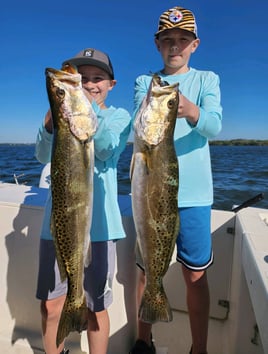 Speckled Trout Fishing in Bradenton, Florida