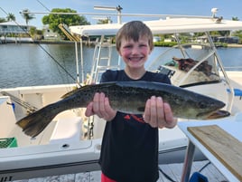 Speckled Trout Fishing in Bradenton, Florida