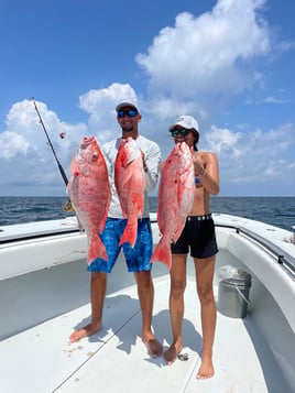 Venice Offshore Extravaganza