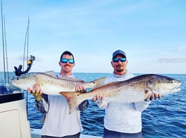 Fishing Venice on Light Tackle