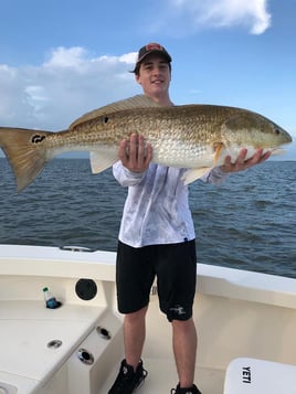 Fishing Venice on Light Tackle