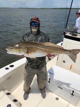 Fishing Venice on Light Tackle