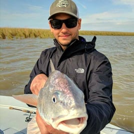 Fishing Venice on Light Tackle