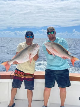 Islamorada Offshore Experience