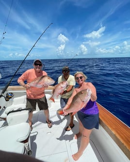 Islamorada Offshore Experience