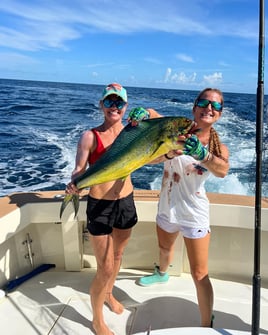 Islamorada Offshore Experience