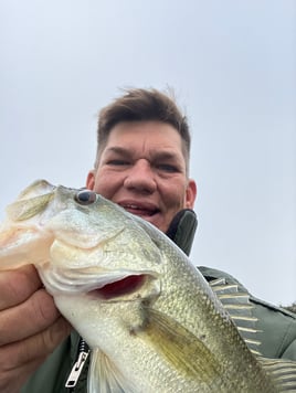 Limited offer 4 hours this week Austin, TX Bass Fishing