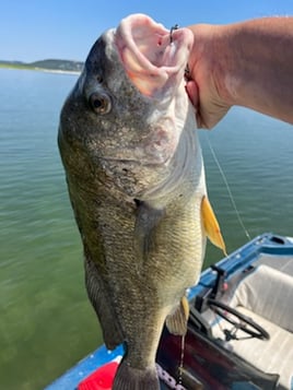 Austin, TX Bass Fishing