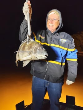 Ruskin Bowfishing and Gigging Trip