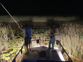 Ruskin Bowfishing and Gigging Trip