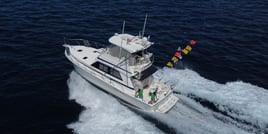 Deep Sea Cabo - 48' Riviera