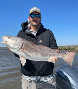 Redfish Fishing in Saint Bernard, Louisiana