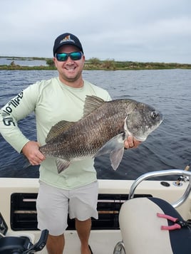 Black Drum Fishing in Saint Bernard, Louisiana