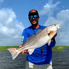 Redfish Fishing in Saint Bernard, Louisiana