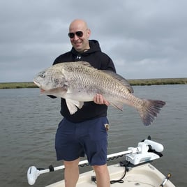 Black Drum Fishing in Saint Bernard, Louisiana