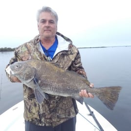 Black Drum Fishing in Oak Hill, Florida