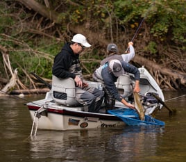 Steelhead Fishing in Traverse City, Michigan