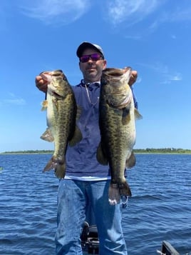 Lake Toho Largemouth Bass Run