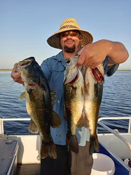 Lake Toho Largemouth Bass Run