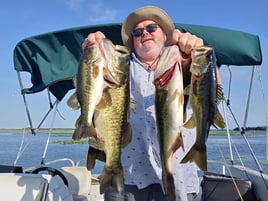 Lake Toho Largemouth Bass Run