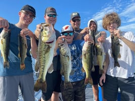 Lake Toho Largemouth Bass Run