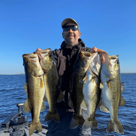 Largemouth Bass Fishing in Kissimmee, Florida