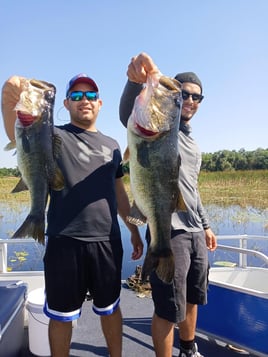 Lake Toho Largemouth Bass Run