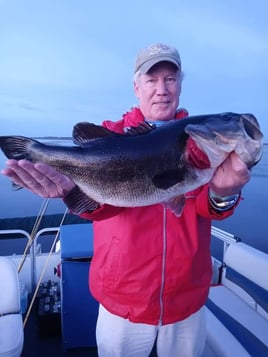 Lake Toho Largemouth Bass Run