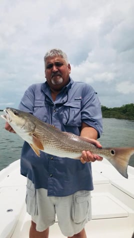 Nature Coast Inshore Trip