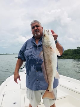 Nature Coast Inshore Trip