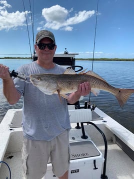 Nature Coast Inshore Trip