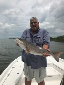 Nature Coast Inshore Trip