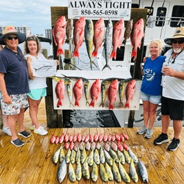 Fishing Adventures with Capt Tyler from 4-12hrs!