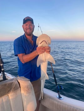 Galveston Shark Trip