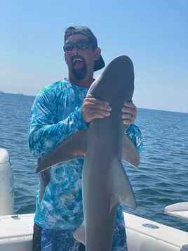 Galveston Shark Trip