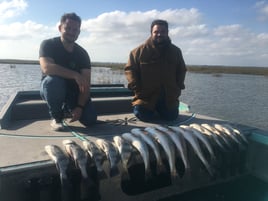 Rockport Redfish and Black Drum