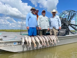 Rockport Redfish and Black Drum