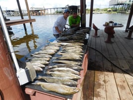 Speckled Trout Fishing in Port Sulphur, Louisiana