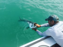 FL Keys Flats Fishing