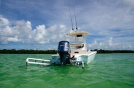 Key West Mangroves Fishing