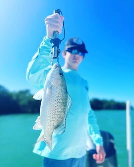 Key West Mangroves Fishing