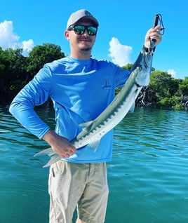 Key West Mangroves Fishing